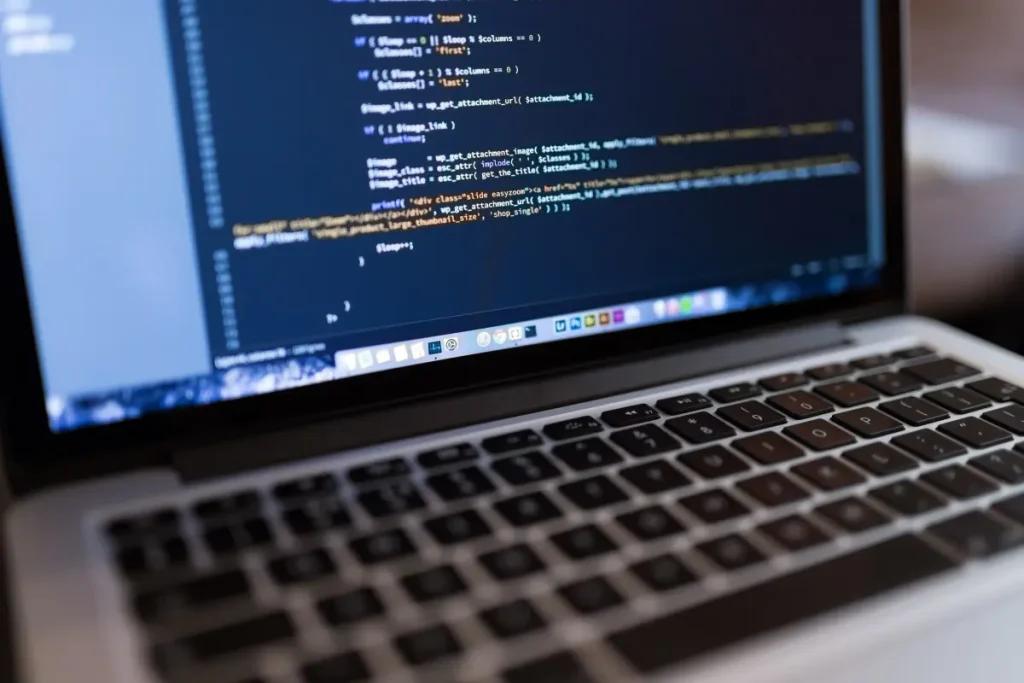 Perbedaan Programmer vs Developer: Tugas, Skill, dan Prospek Karier